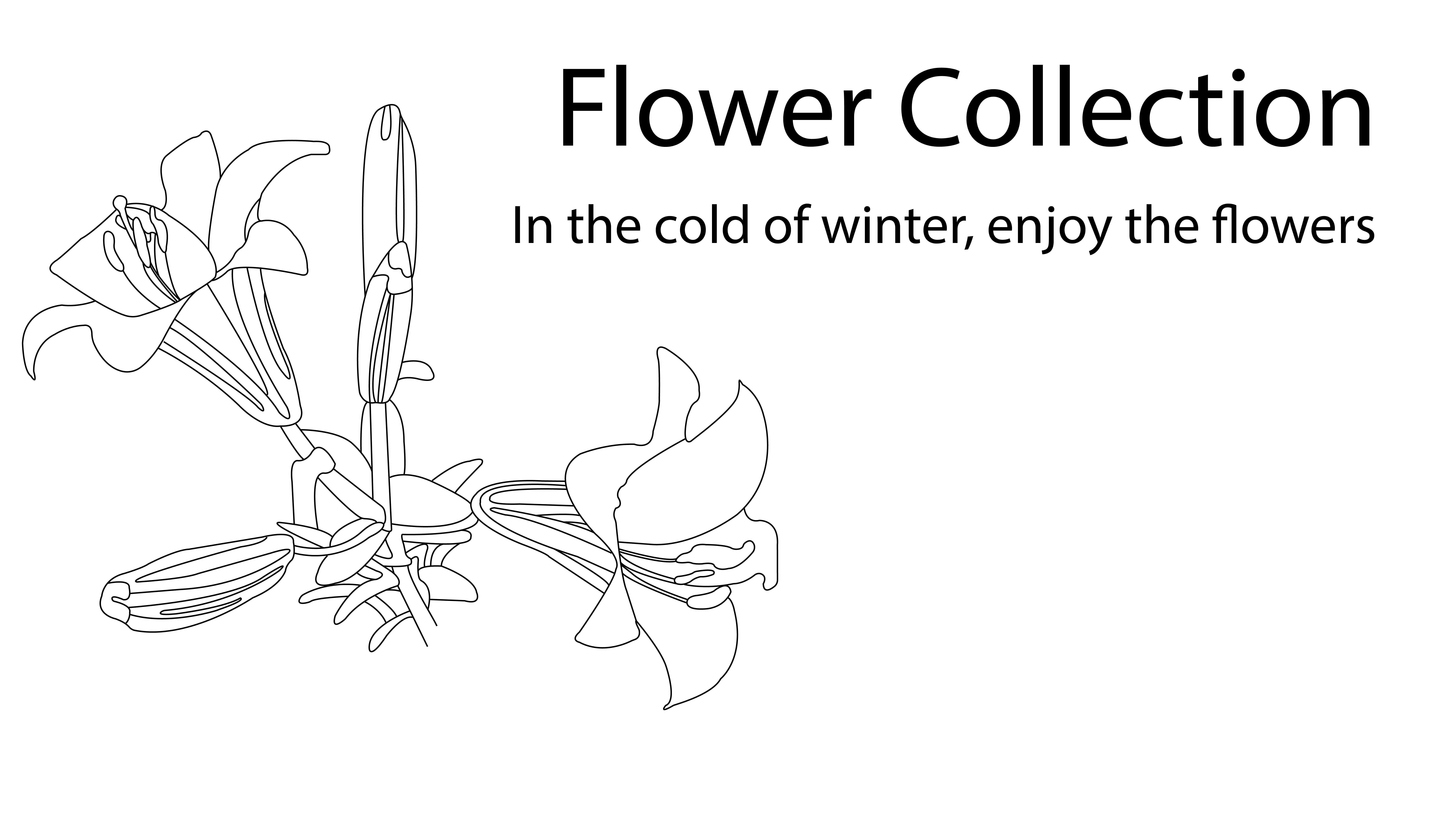 Flower Collection