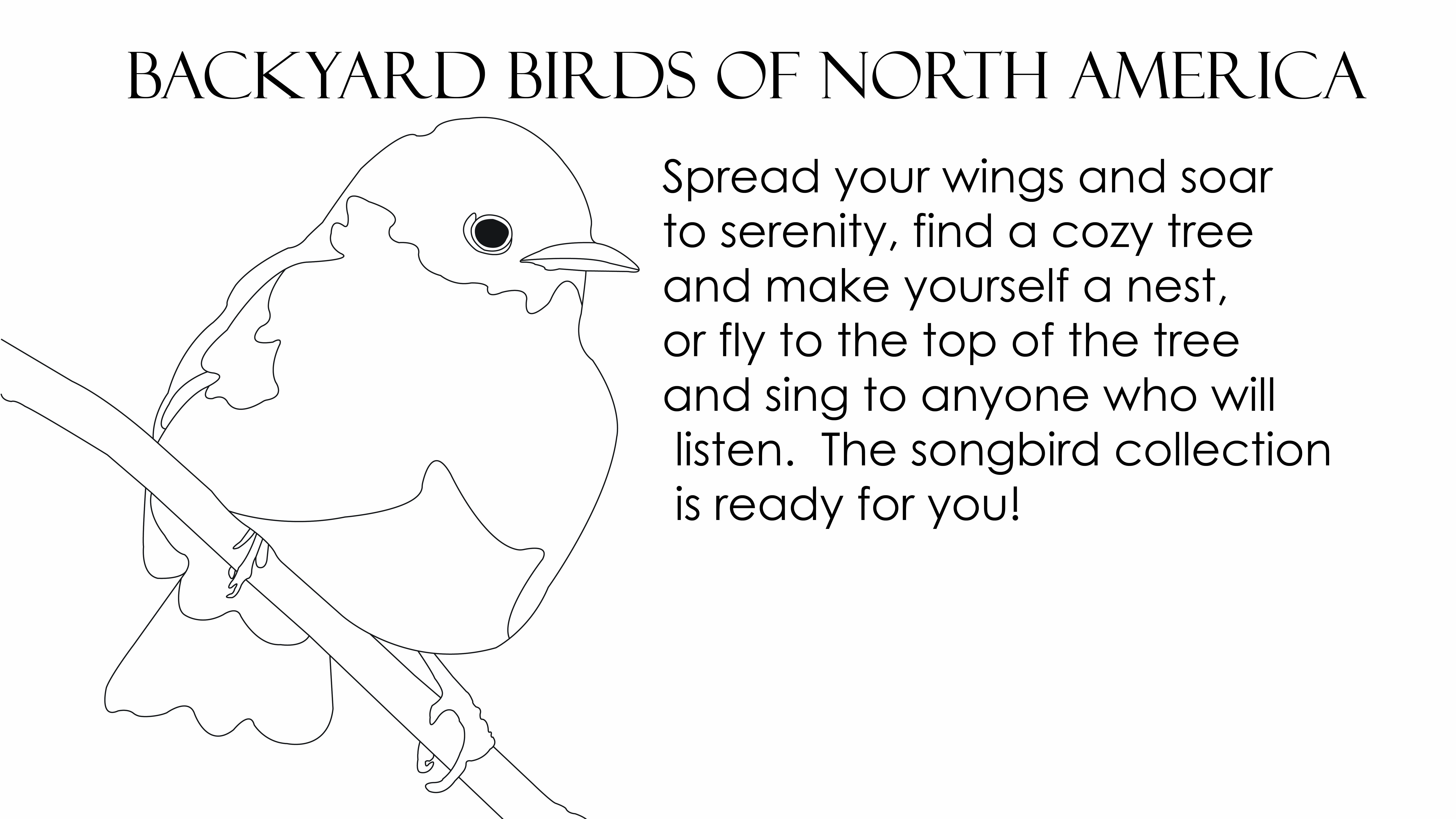North American Birds