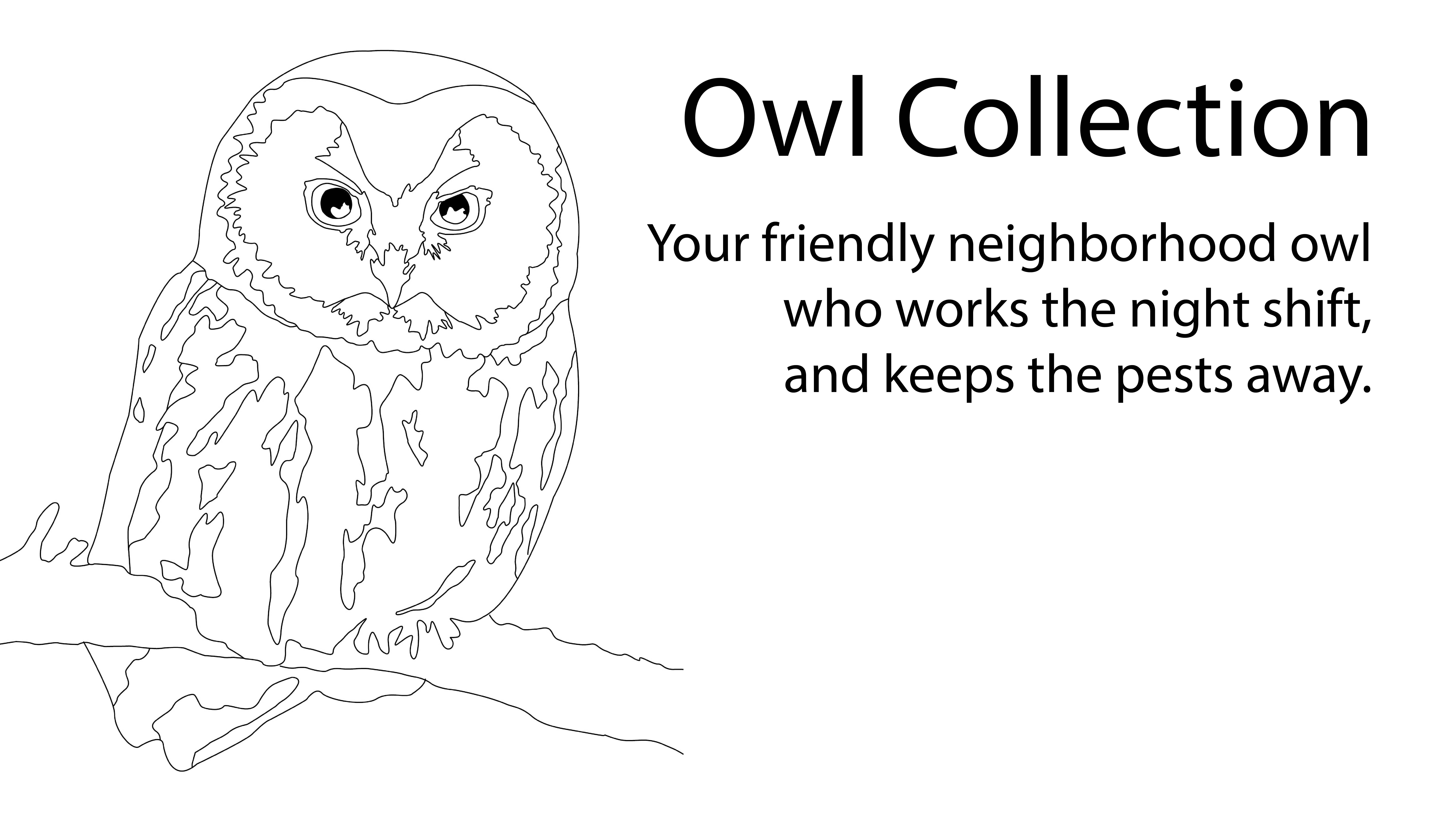 Owl Collection