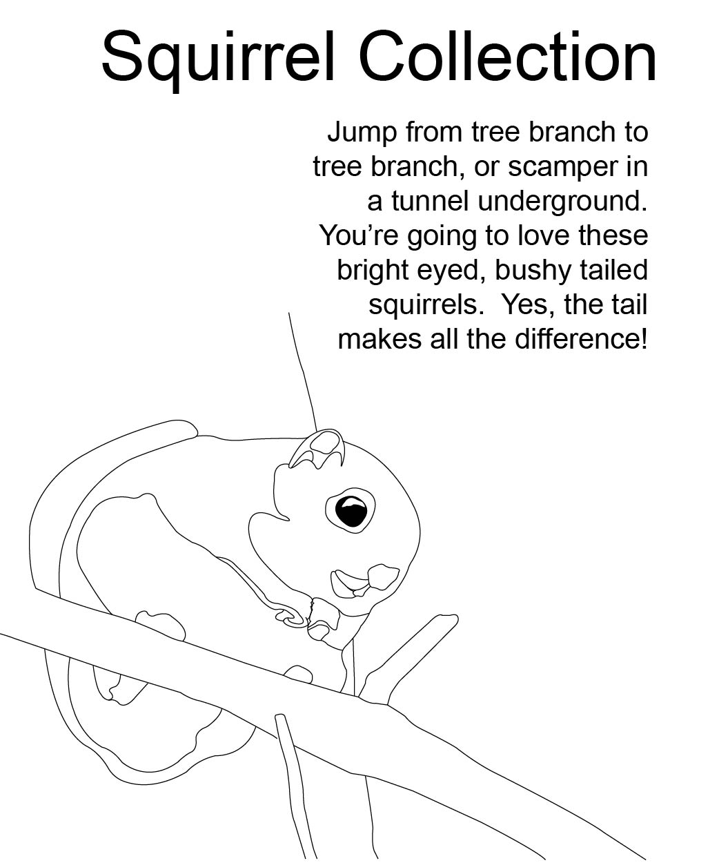 Squirrel Collection